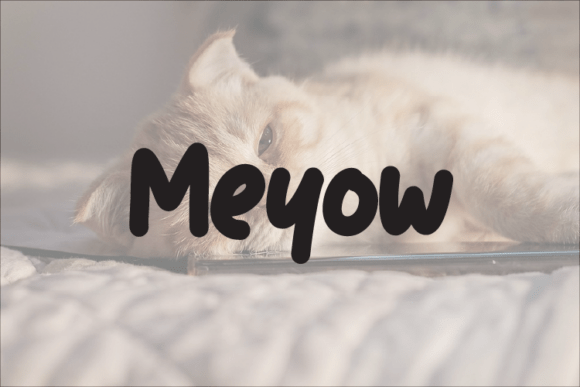 Meyow Typeface: Elevating Small Business Brand Identity