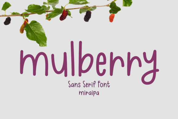 Mulberry: The Handwritten Typeface for Authentic Campaign Design