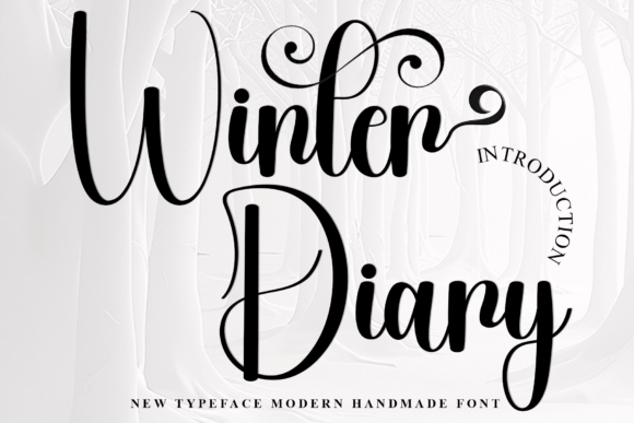 Winter Diary: The Creative Typeface That Warms Your Brand Identity